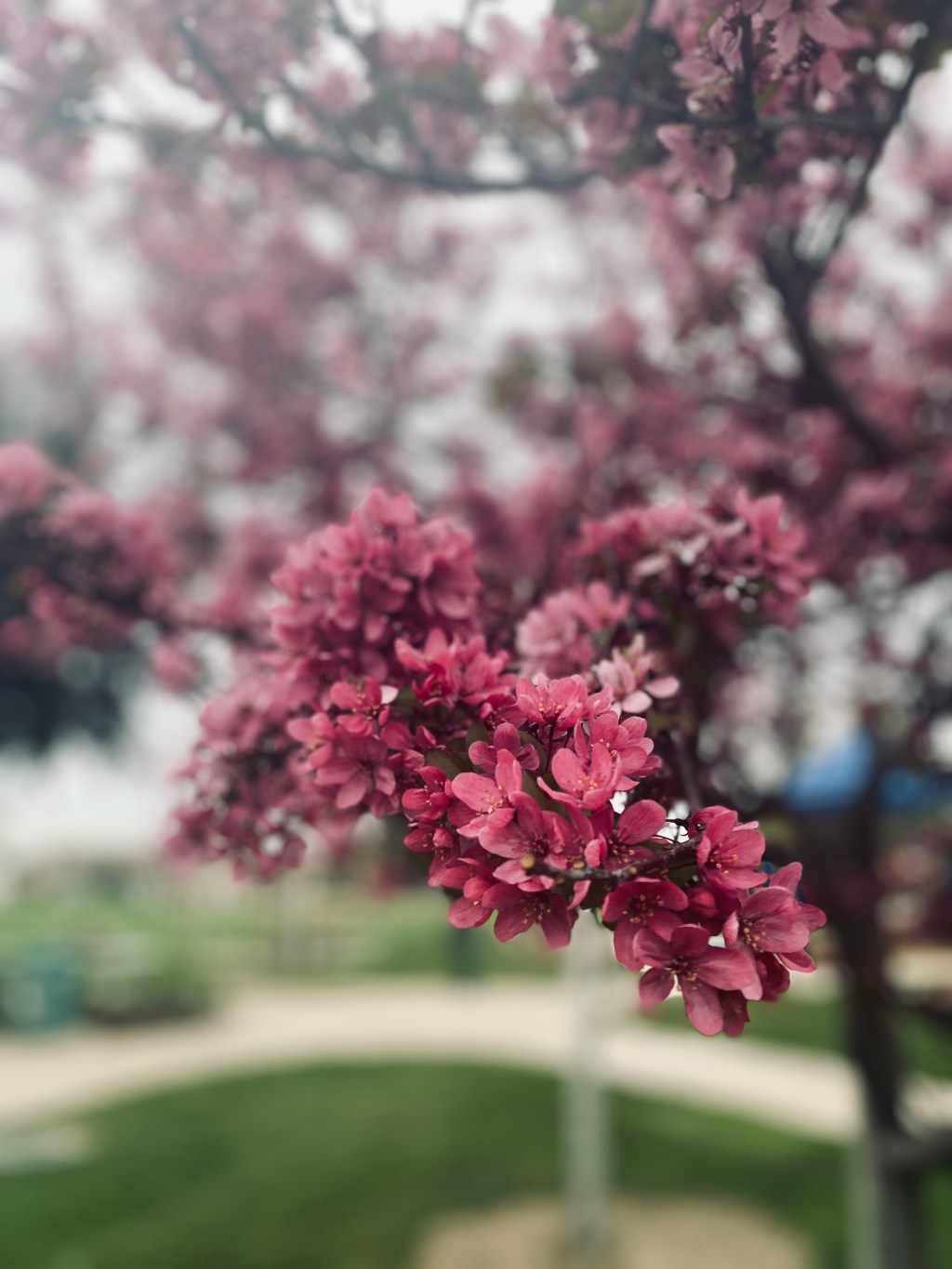 Reflections on Continuing&nbsp;Onward